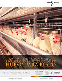Manual de Buenas prácticas pecuarias en unidades de producción de pollo de engorda