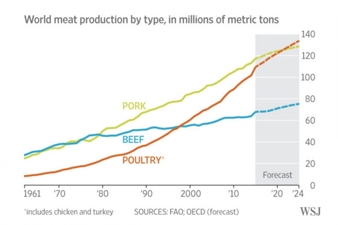 La producción mundial de carne de pollo, la que más crece en 2019 – Unión  Nacional de Avicultores